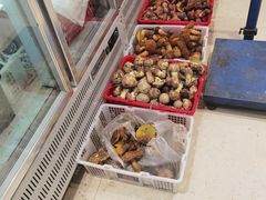 -山菌美食苑(振兴路店)