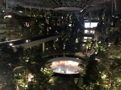 -樟宜机场免税店