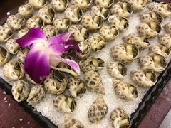 -津菜宋记老房子(鼓楼店)