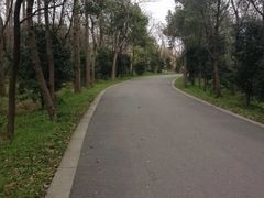 -东平国家森林公园