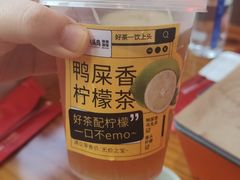 -唐力九头鸟烧烤·罗田吊锅(西云楼店)