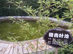 -大理地热国