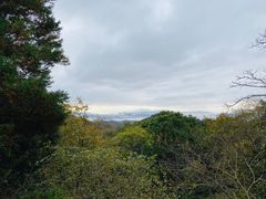 -普陀山风景区-佛顶山