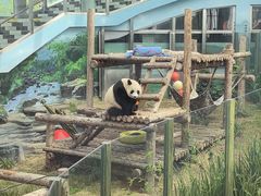 -大连森林动物园