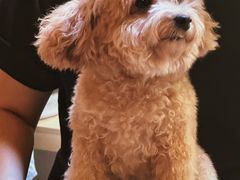 -METAL HANDS(五道营店)