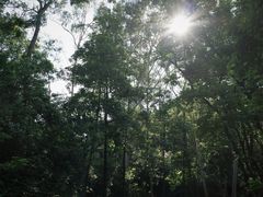 -东莞市虎英郊野公园