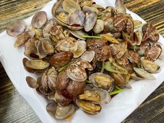 辣炒蛤蜊-人和啤酒屋海鲜大排档(营口路店)
