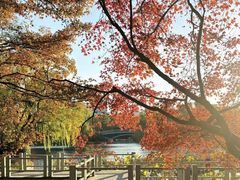 -滨湖塘西河公园