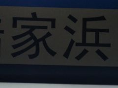 -陆家浜路(地铁站)