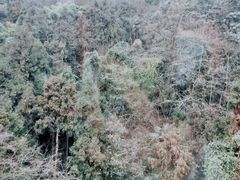-青城山