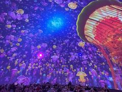 -泉城欧乐堡海洋极地世界