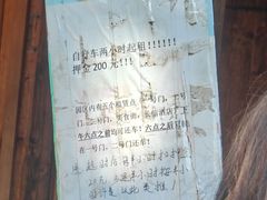 -日照海滨国家森林公园