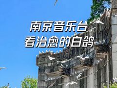 -音乐台