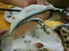 -蚝专家(北滘店)