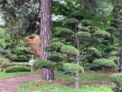 -北海道厅旧本厅舍(旧本庁舎)