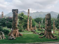 -深圳仙湖植物园