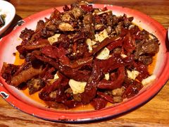 -柴窝堡22号辣子鸡·传承新疆菜