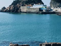 -枸杞岛