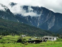 -ventus spa 沙巴亚庇正宗精油按摩会所