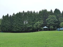 -武陵山森林公园