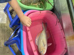 -班赞海鲜市场