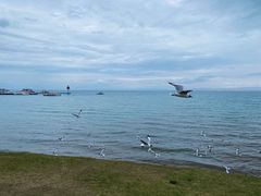 -青海湖国家重点风景名胜区