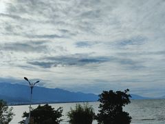 -野菌皇海景野生菌火锅(滨海大道店)