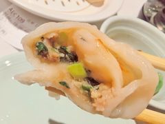 精品三鲜馅饺子-百饺园酒楼(平山道店)