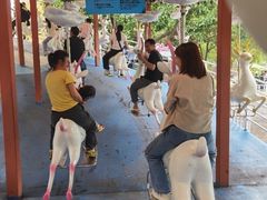 -盈香心动乐园