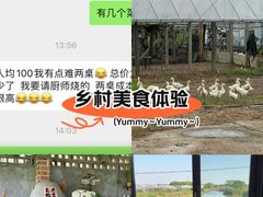 -美家乐农庄·露营·团建(大治路店)