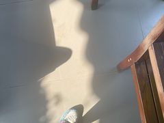 -普朗姆生蚝吧(原建国路店)