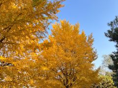 -元大都城垣遗址公园