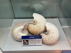 -大连自然博物馆