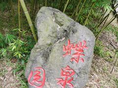 -都江堰中华大熊猫苑