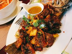 烤鱿鱼-Daddy Nimman Chiang Mai