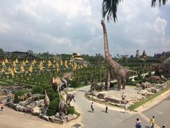 -东芭乐园