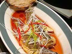 -前海沿·青岛菜(大拇指广场石老人店)