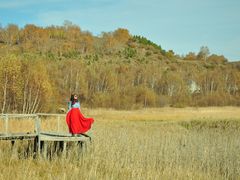 -塞罕坝国家级自然保护区