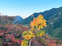 -水峪民俗村
