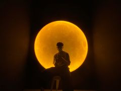 -深圳独角兽星空艺术馆