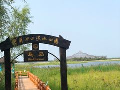 -呼兰河口湿地公园