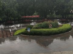 -龙头寺公园