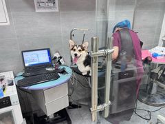 -宠福鑫康馨动物医院·骨科·眼科