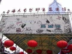 -上海大自然野生昆虫馆(东方明珠·爬宠昆虫探索中心)