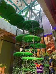 -恐龙探索乐园(磁器口店)