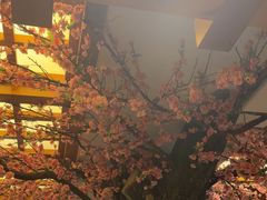 -鸥迪足道(安庆店)