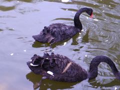 -长白岛森林公园