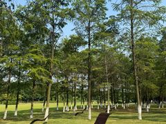 -宜兴龙背山森林公园