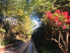 -铁路文化公园