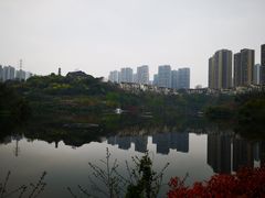 -重庆彩云湖湿地公园
